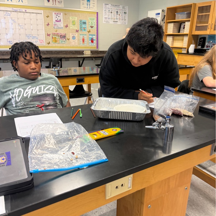 Our Biology students put natural selection into action with a hands-on survival of the fittest lab! Students modeled how environmental pressures can impact which organisms survive and reproduce over generations.