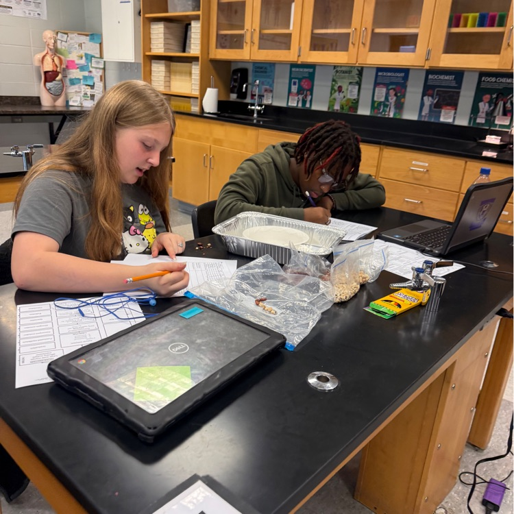 Our Biology students put natural selection into action with a hands-on survival of the fittest lab! Students modeled how environmental pressures can impact which organisms survive and reproduce over generations.