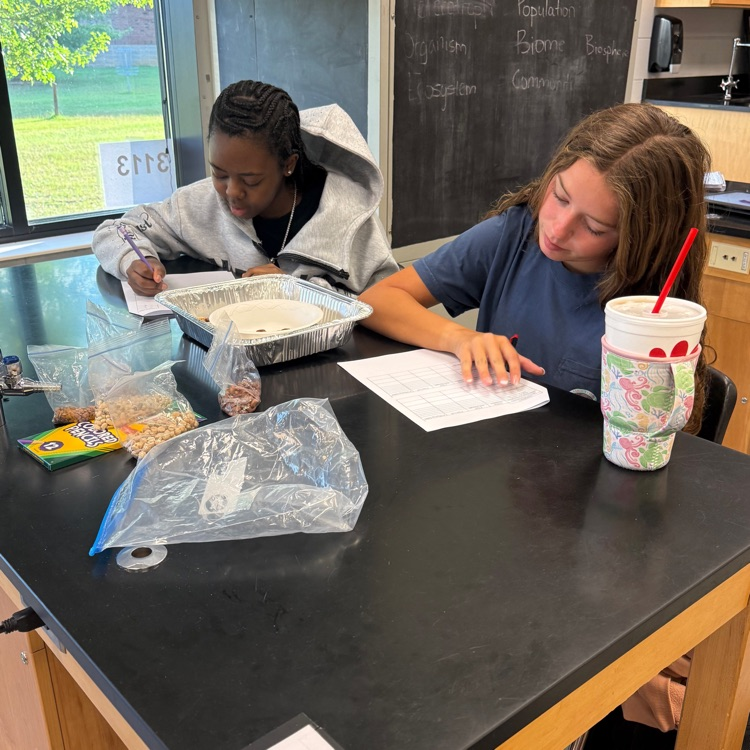 Our Biology students put natural selection into action with a hands-on survival of the fittest lab! Students modeled how environmental pressures can impact which organisms survive and reproduce over generations.