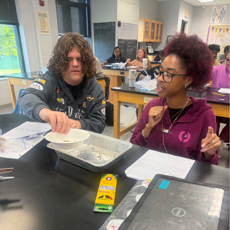 Our Biology students put natural selection into action with a hands-on survival of the fittest lab! Students modeled how environmental pressures can impact which organisms survive and reproduce over generations.