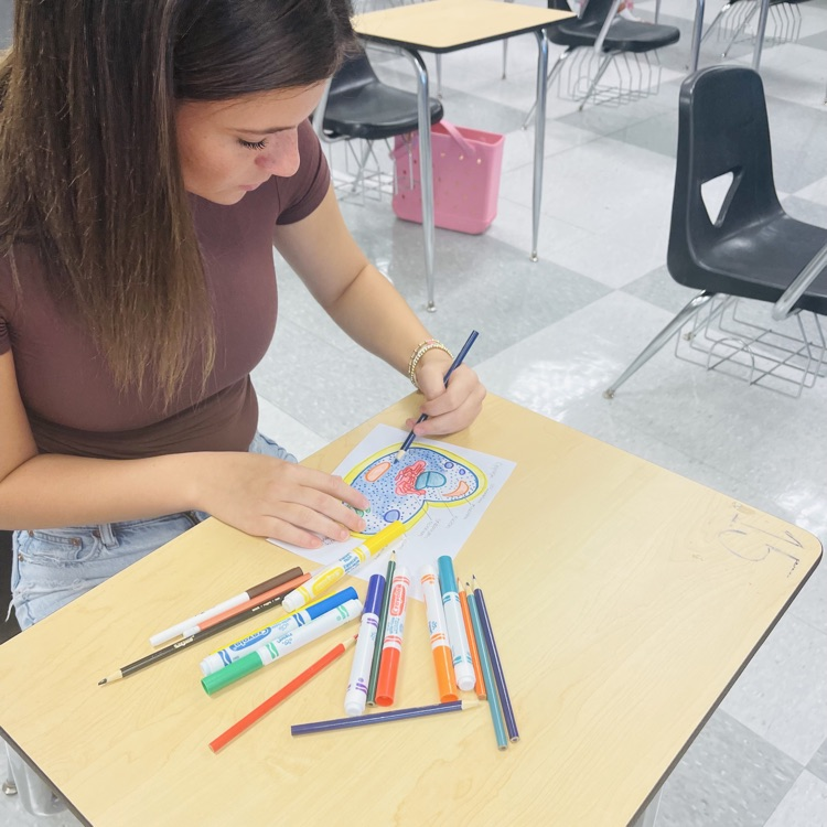  Essentials of Healthcare students completed an in-class cell project. 