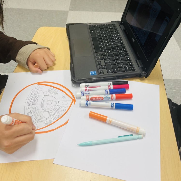  Essentials of Healthcare students completed an in-class cell project. 