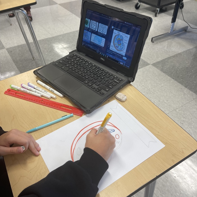  Essentials of Healthcare students completed an in-class cell project. 