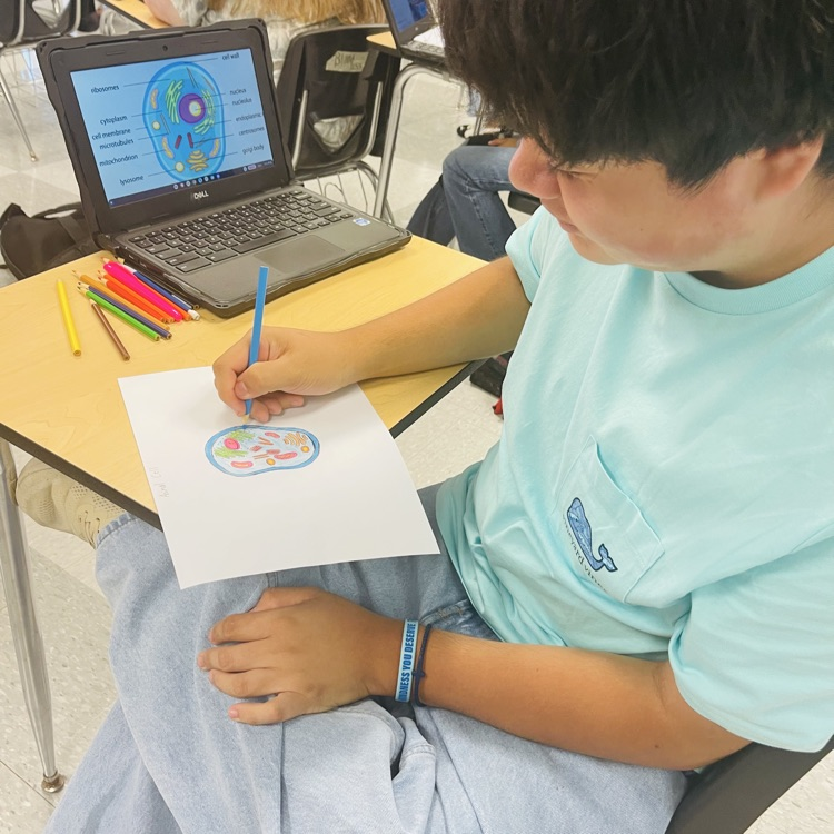  Essentials of Healthcare students completed an in-class cell project. 