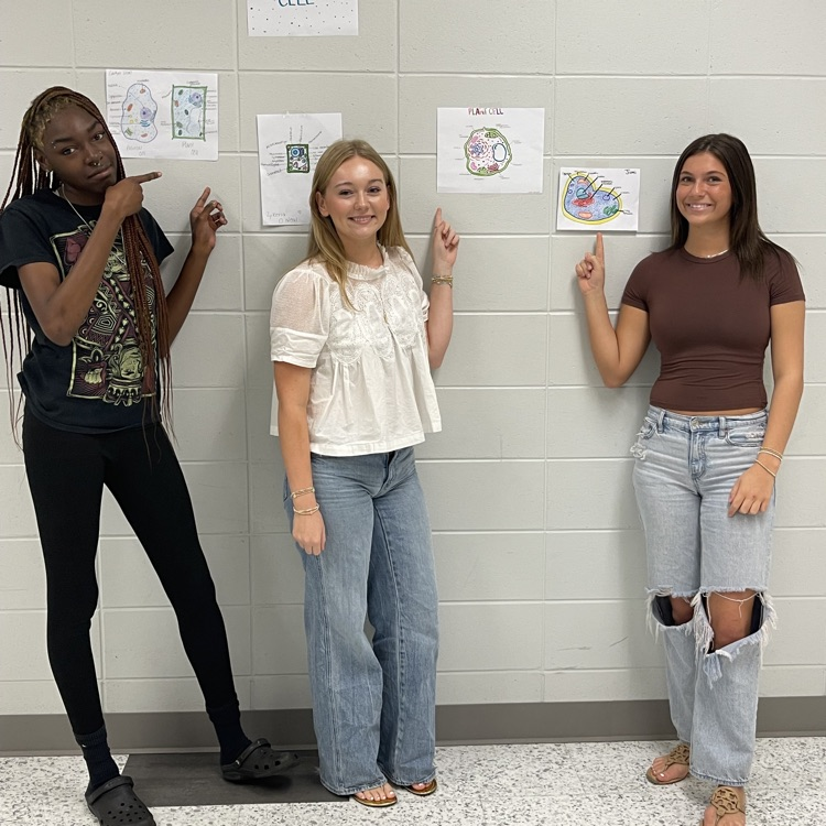  Essentials of Healthcare students completed an in-class cell project. 