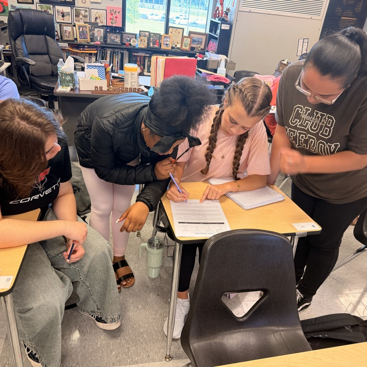 AP Lit students compete against each other while reviewing for their literary terms test. 