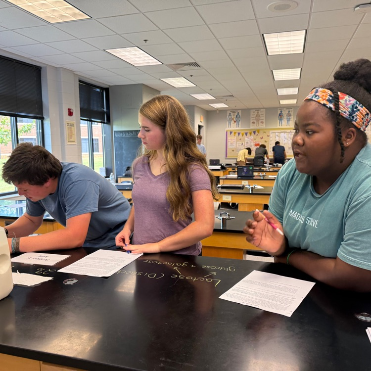Our Biology students got to take learning out of the textbook and into the lab! Today, they investigated enzyme activity with a hands-on lab to explore how enzymes function. 