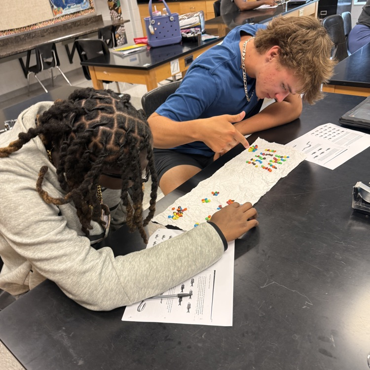  Last week students in Environmental Science modeled the bioaccumulation and biomagnification of toxins in a food chain using candy to provide the data.