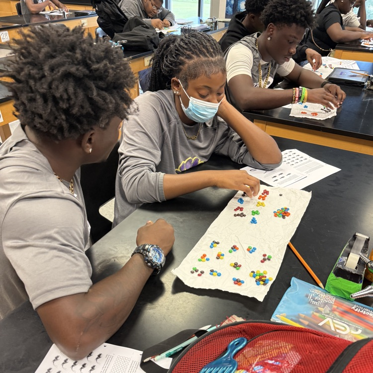 Last week students in Environmental Science modeled the bioaccumulation and biomagnification of toxins in a food chain using candy to provide the data.