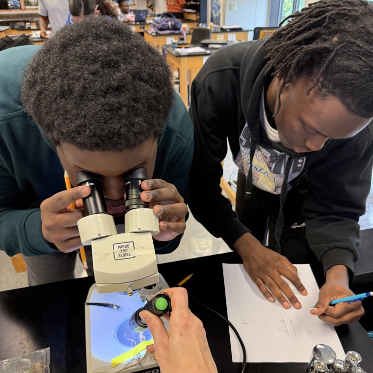 This week Environmental Science students modeled the movement of molecules through the water and nitrogen cycles, then observed root nodules on peanut plants.