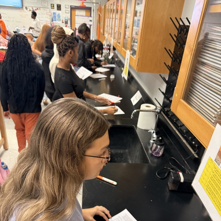 This week Environmental Science students modeled the movement of molecules through the water and nitrogen cycles, then observed root nodules on peanut plants.