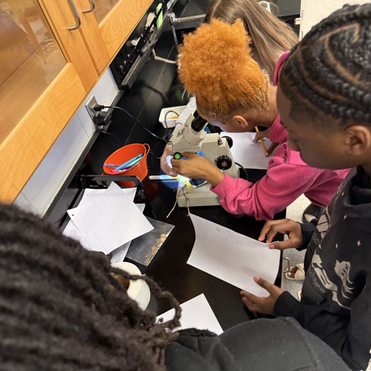 This week Environmental Science students modeled the movement of molecules through the water and nitrogen cycles, then observed root nodules on peanut plants.