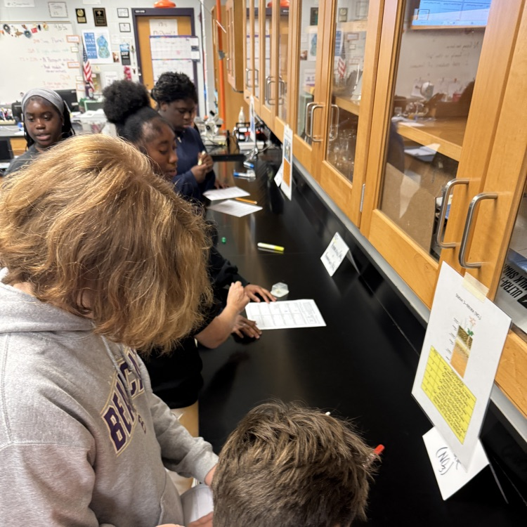 This week Environmental Science students modeled the movement of molecules through the water and nitrogen cycles, then observed root nodules on peanut plants.