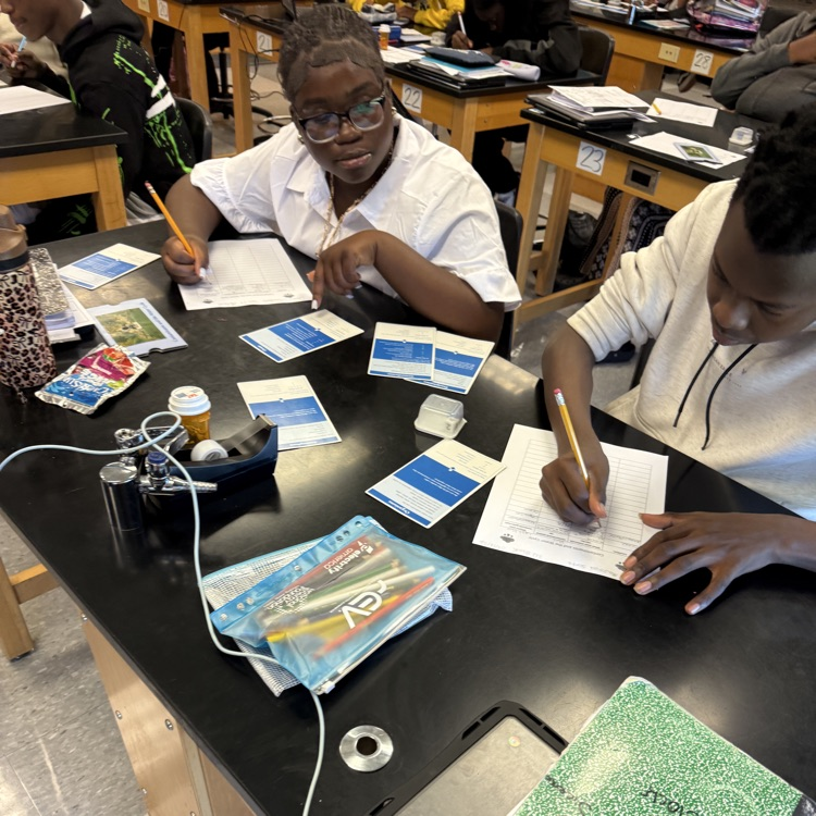 This week Environmental Science students modeled the movement of molecules through the water and nitrogen cycles, then observed root nodules on peanut plants.