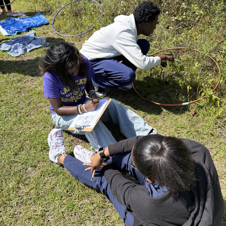 This week Environmental Science students modeled the movement of molecules through the water and nitrogen cycles, then observed root nodules on peanut plants.
