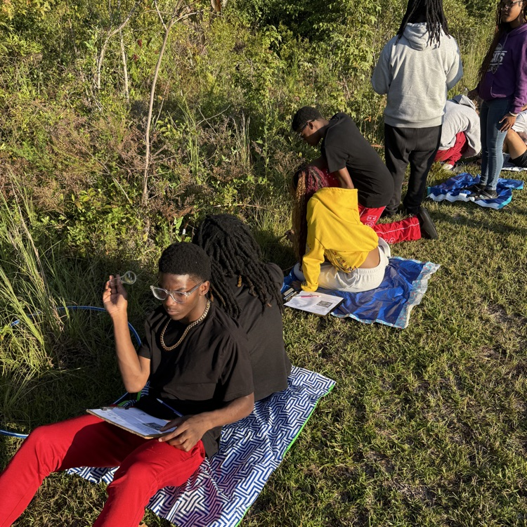 This week Environmental Science students modeled the movement of molecules through the water and nitrogen cycles, then observed root nodules on peanut plants.