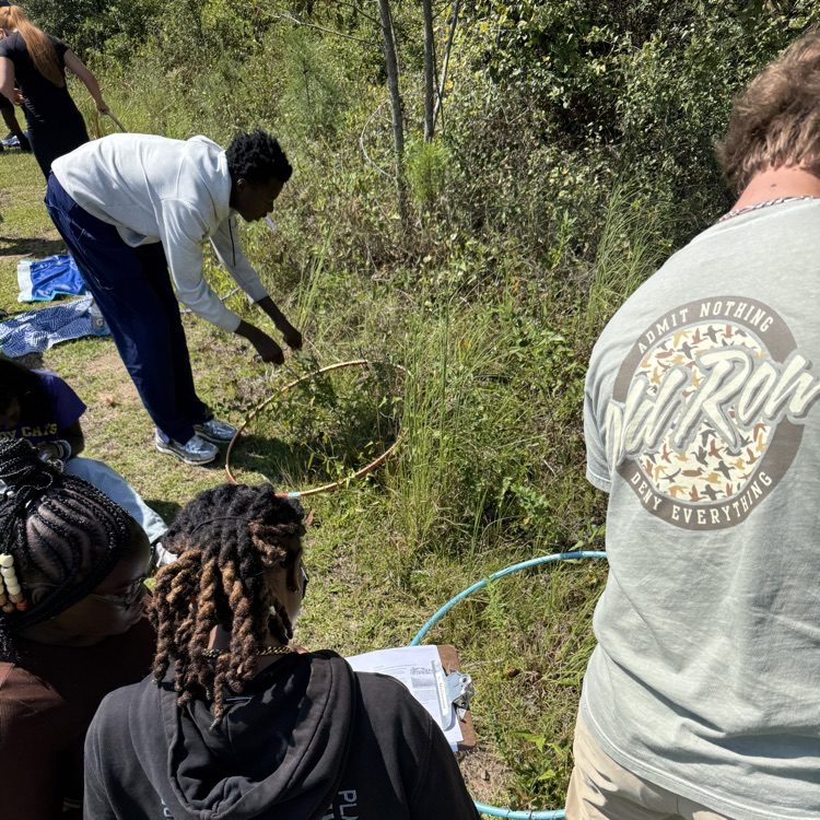 This week Environmental Science students modeled the movement of molecules through the water and nitrogen cycles, then observed root nodules on peanut plants.