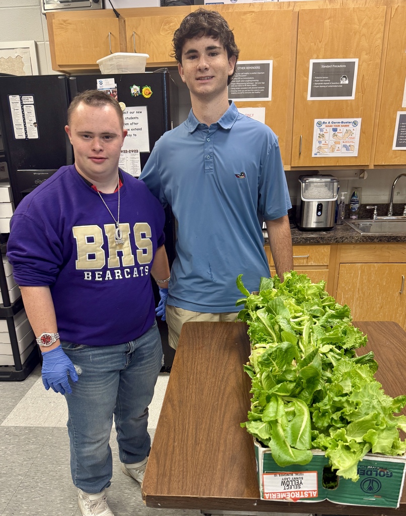 BHS Exceptional Education students prepare and serve a staff salad bar as part of a hands-on learning experience. Students wash and prepare fresh lettuce, organize toppings, assemble salads, and serve BHS staff during lunch. The salad bar features hydroponically grown lettuce from the student-led Double H Greens agriculture project, giving students an opportunity to practice food preparation, teamwork, communication, and customer service skills.
