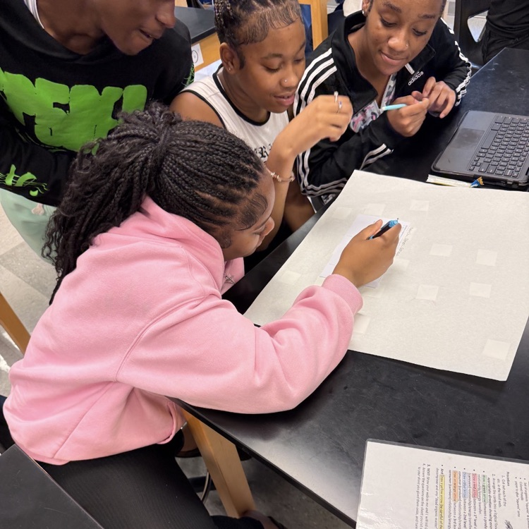 Environmental Science students collaborated to build a food web and then determined what the impacts would be on their ecosystem when one species was made "extinct".