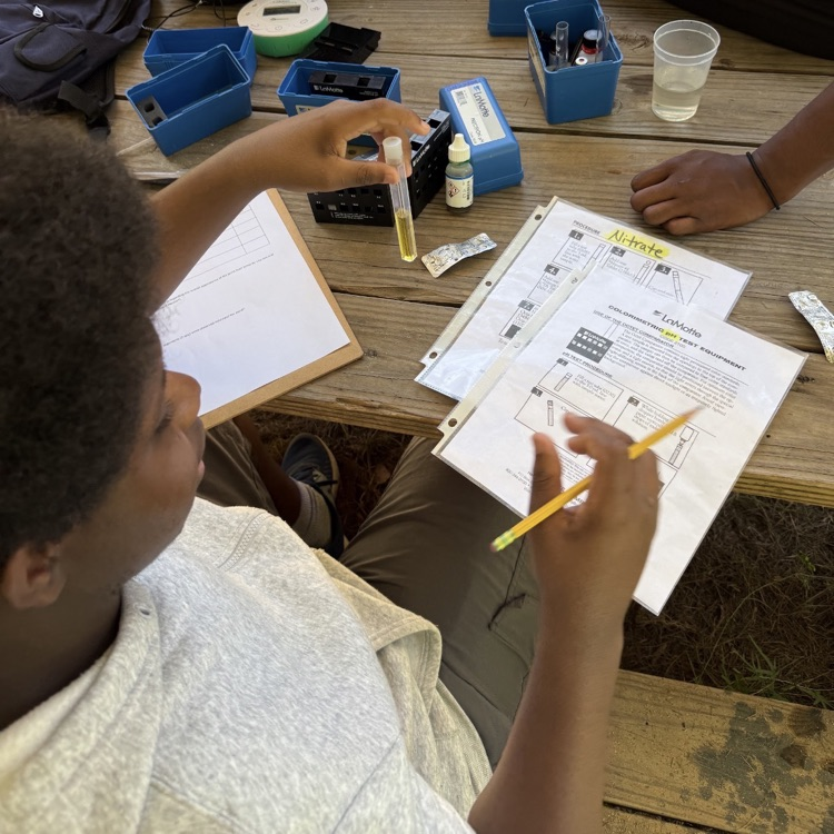 Environmental Science students investigated the chemical and physical characteristics of the pond on campus. *the minnows were promptly returned to the pond*