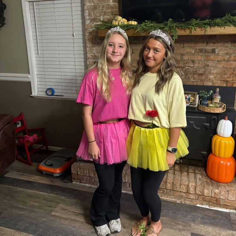 There were many characters roaming the halls today- HOCO Day 1- Disney vs Marvell