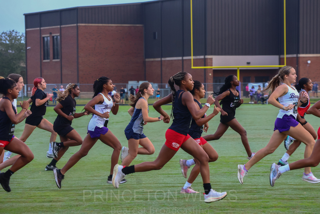 Cross Country Runners