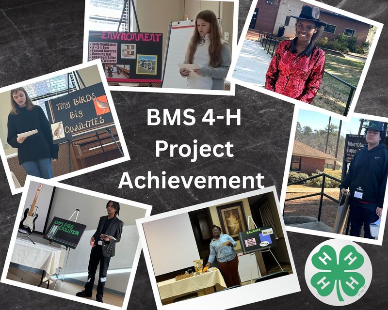 Images of the BMS 4H Project Achievement studnets