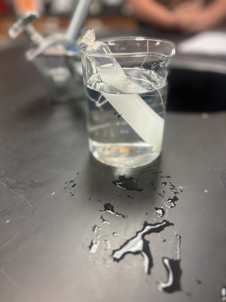 In Honors Biology, we used something called dialysis tubing to represent the cell membrane and how molecules move across the membrane.  They had to set up the dialysis tubing themselves- which is by itself a difficult task.  
