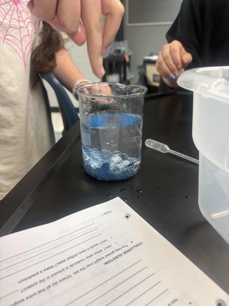 In Honors Biology, we used something called dialysis tubing to represent the cell membrane and how molecules move across the membrane.  They had to set up the dialysis tubing themselves- which is by itself a difficult task. 