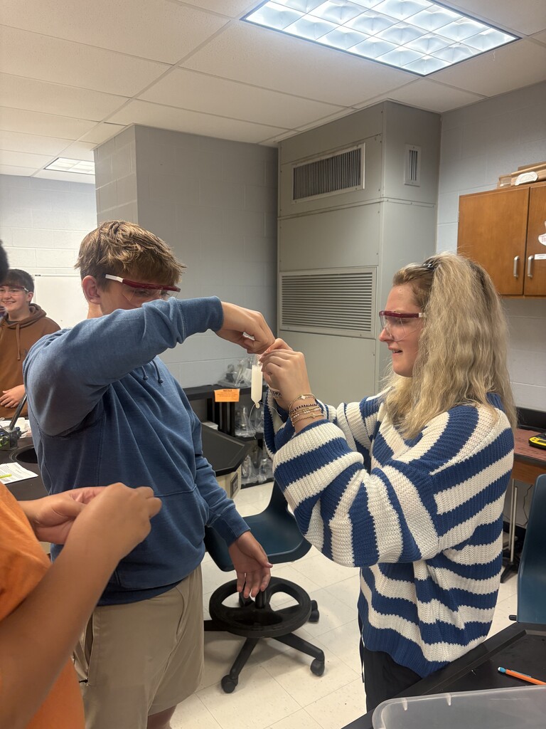 In Honors Biology, we used something called dialysis tubing to represent the cell membrane and how molecules move across the membrane.  They had to set up the dialysis tubing themselves- which is by itself a difficult task.  