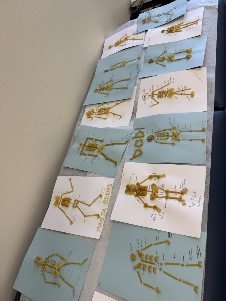 macaroni skeletons