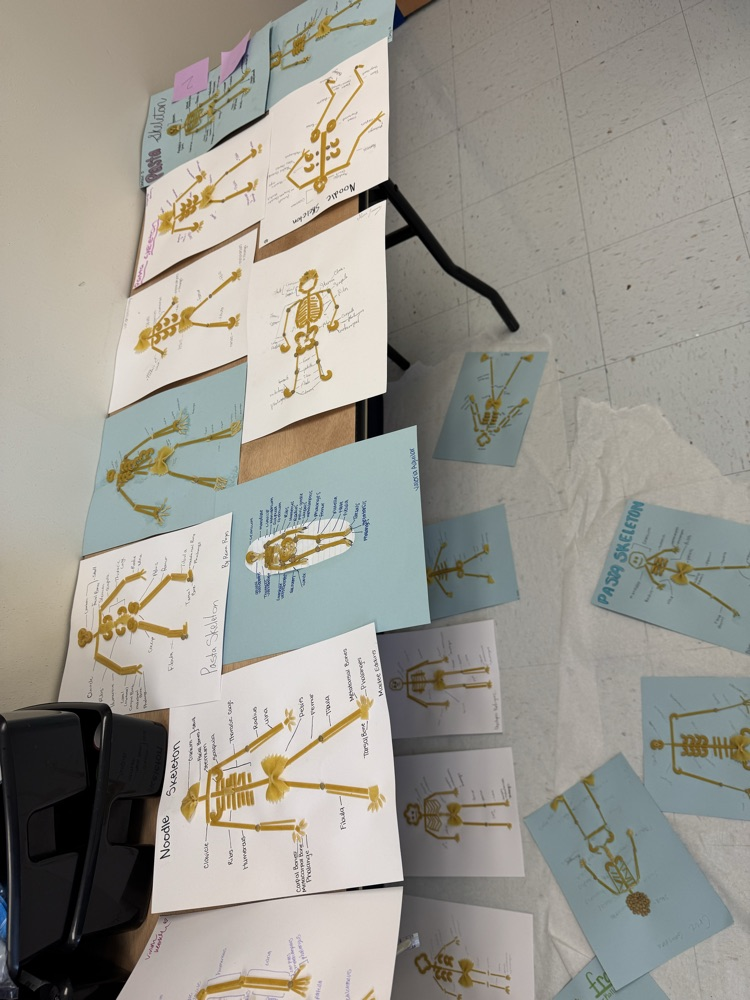 macaroni skeletons