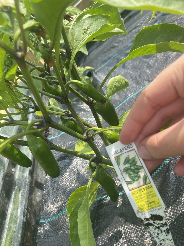 Garden Tour