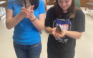 HS AG CLASS