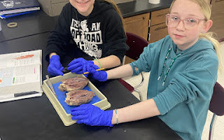 HS AG CLASS