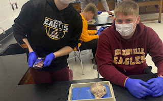 HS AG CLASS