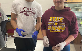 HS AG CLASS