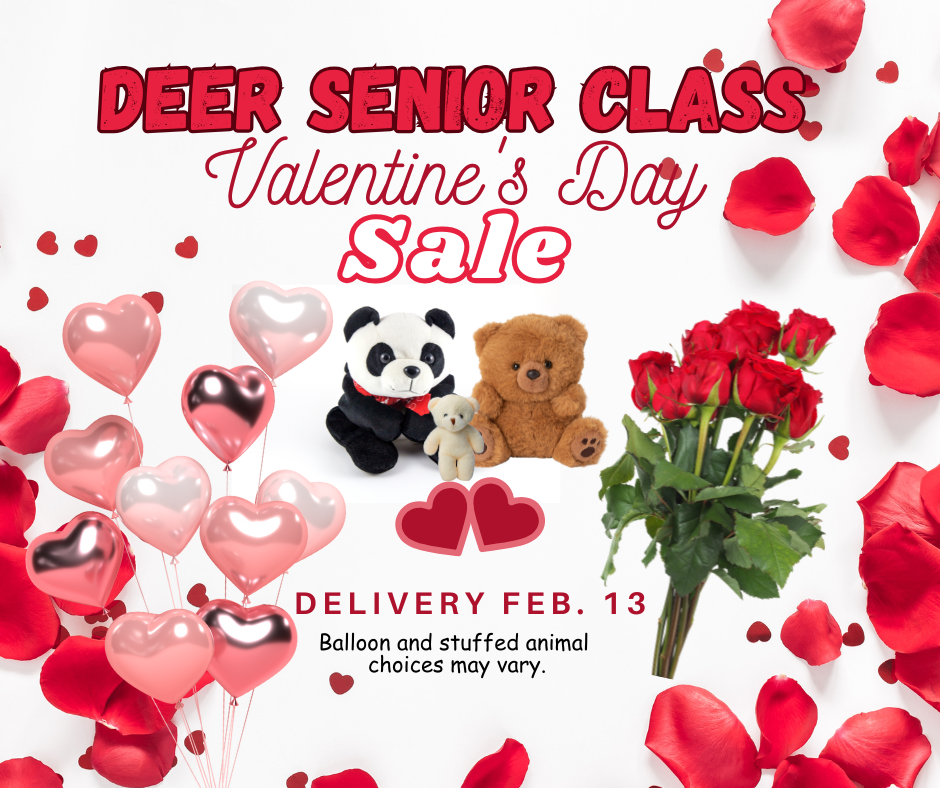 Valentine Day Sale 1