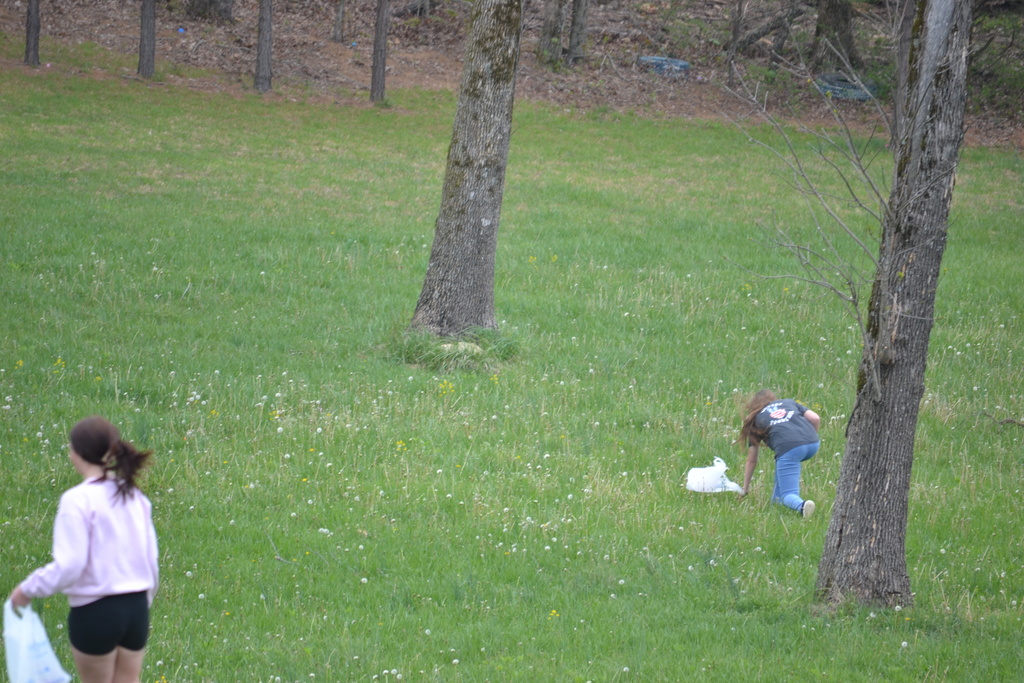 Egg Hunt 10