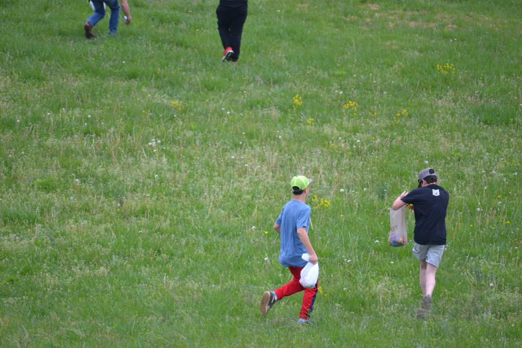 Egg Hunt 7