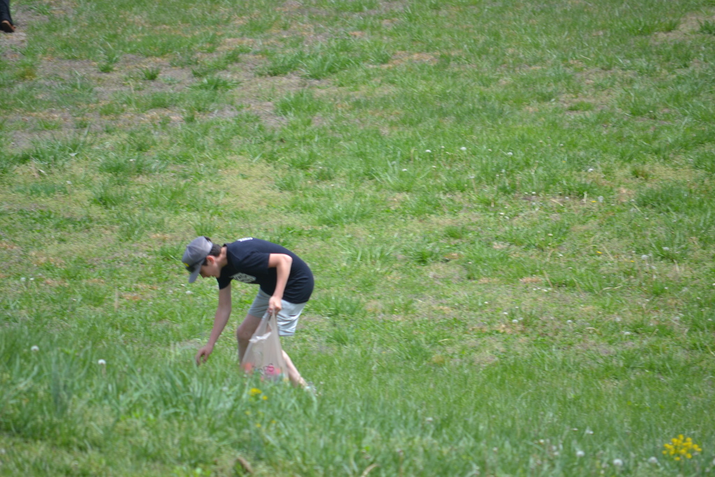 Egg Hunt 5