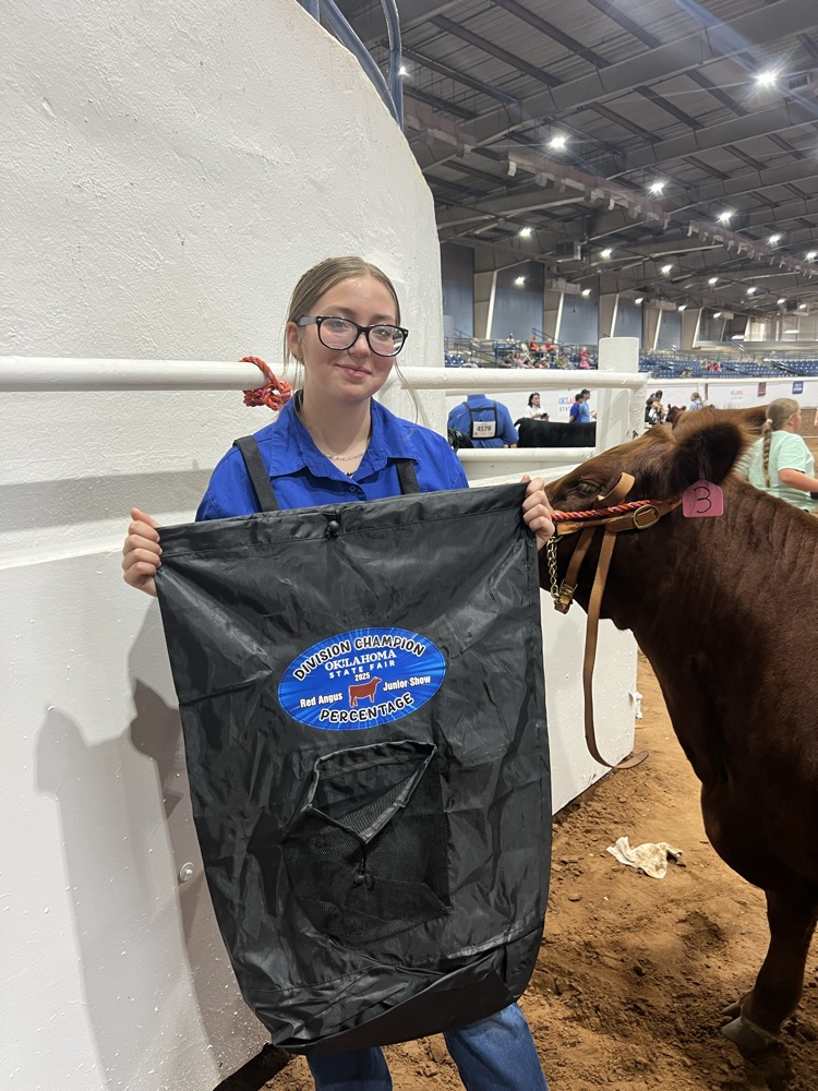 Fun awards for division champion