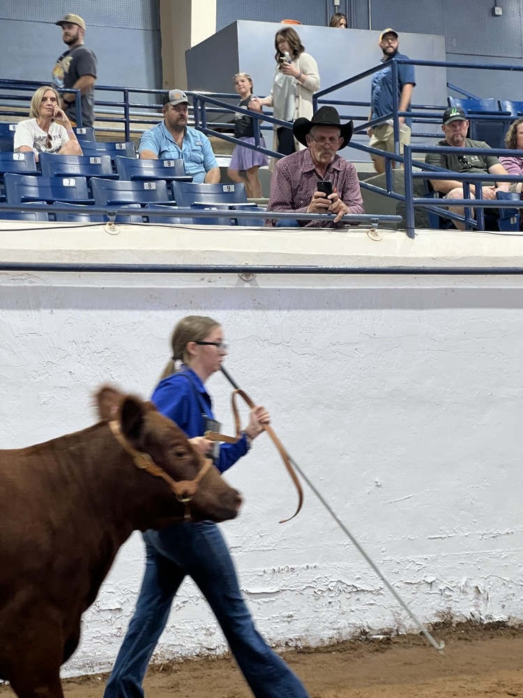 Proud grandma and grandpa! 