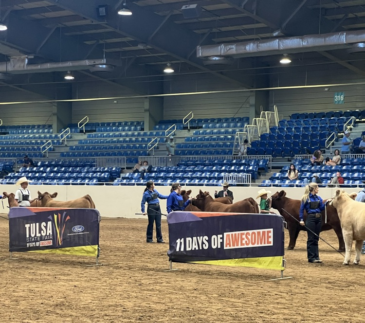 Showing in the breed champion drive!