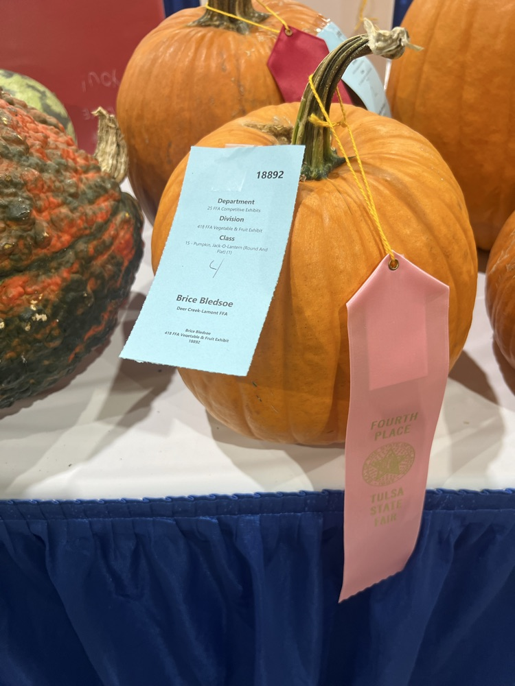 Brice-4th place pumpkin