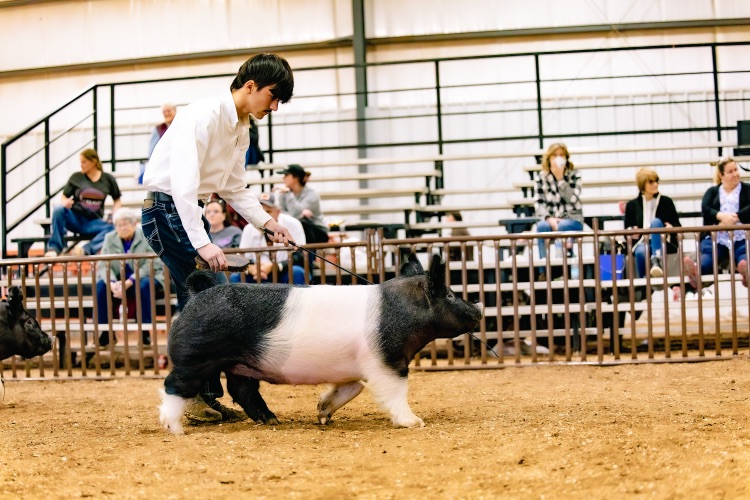 Will Reserve Grand Hog