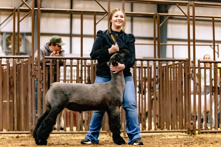 Bristol Reserve Grand Lamb! 