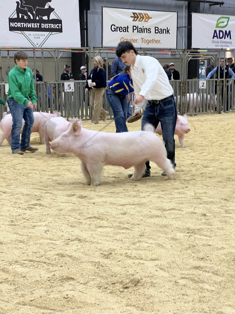 Will with his York barrow.