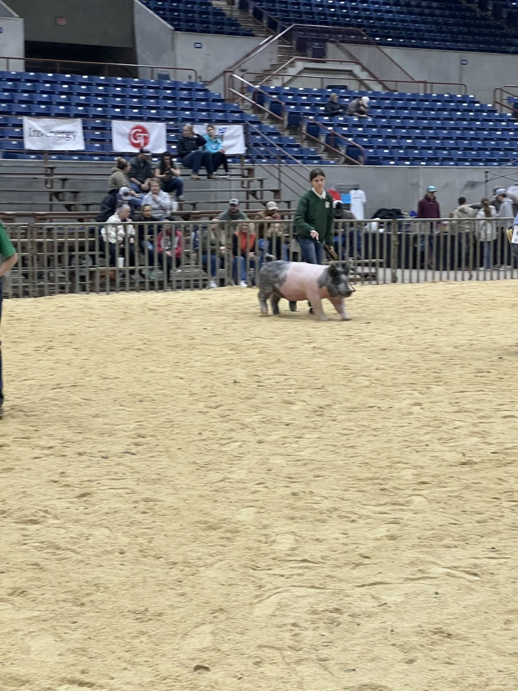 Hadlee and her light cross gilt.