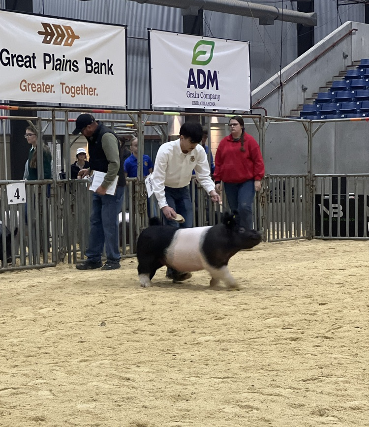 Will with his first place dark cross gilt.
